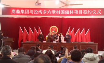 东升国际官网林业集团与拉沟乡就国储林项目首单签约