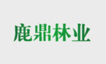广西东升国际官网林业集团发起人首次筹备会议在我场召开