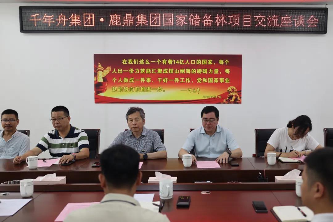 千年舟集团到东升国际官网集团交流国储林建设项目