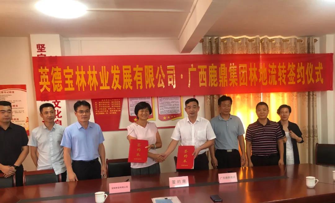 东升国际官网集团与宝林公司签订9100亩林地林木流转协议