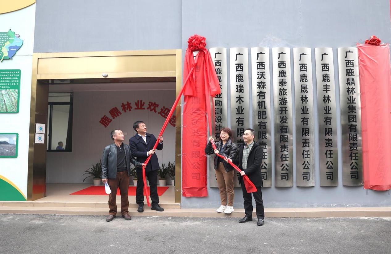 广西森工鼎盛矿业有限公司在东升国际官网林业集团举行揭牌仪式