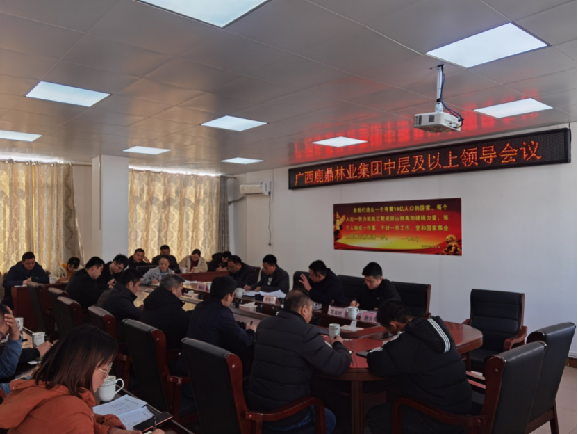 东升国际官网集团召开中层及以上领导会议.png