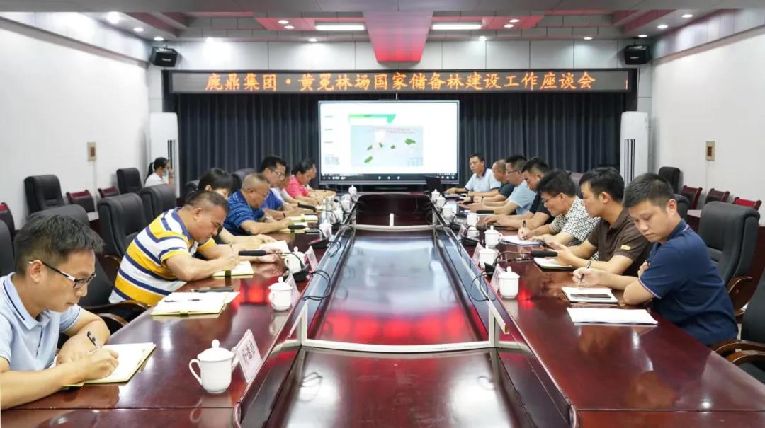 东升国际官网林业集团与黄冕林场座谈交流国储林建设工作1.jpg