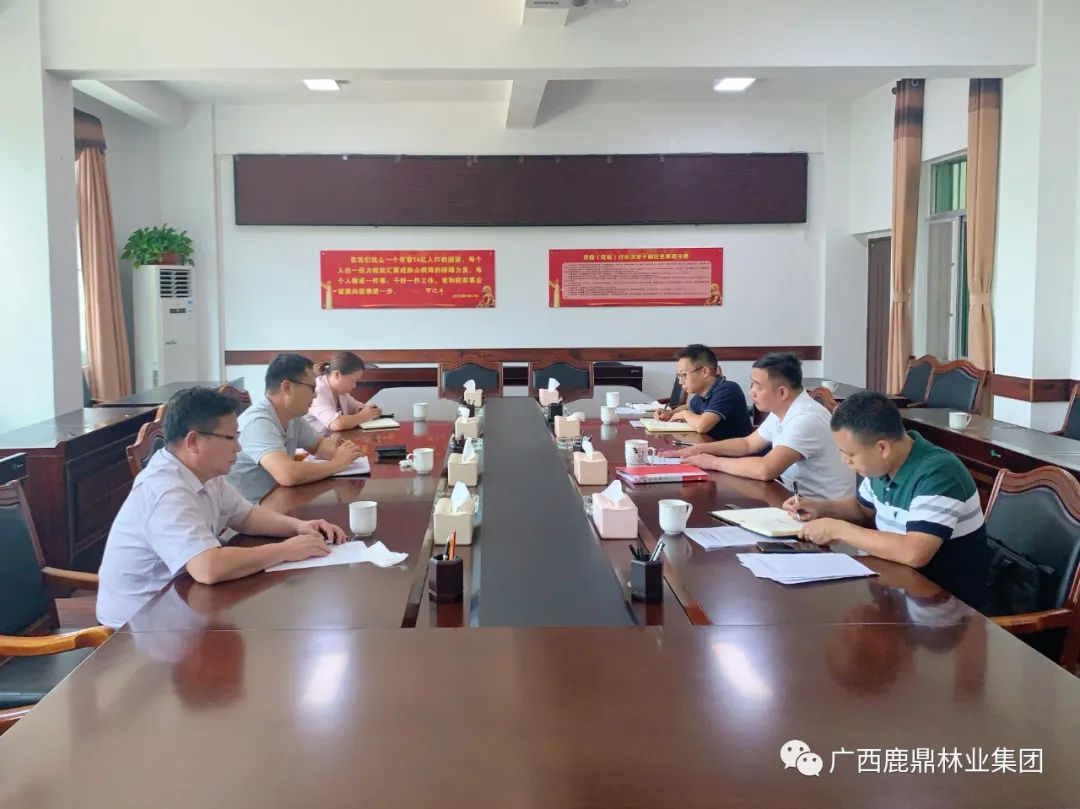 东升国际官网集团与柳城伏虎华侨农场召开工作推进会议