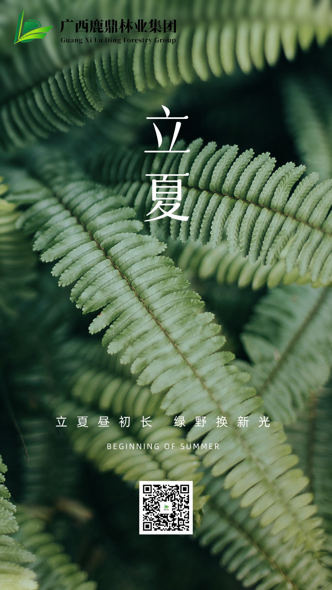 0505立夏.png