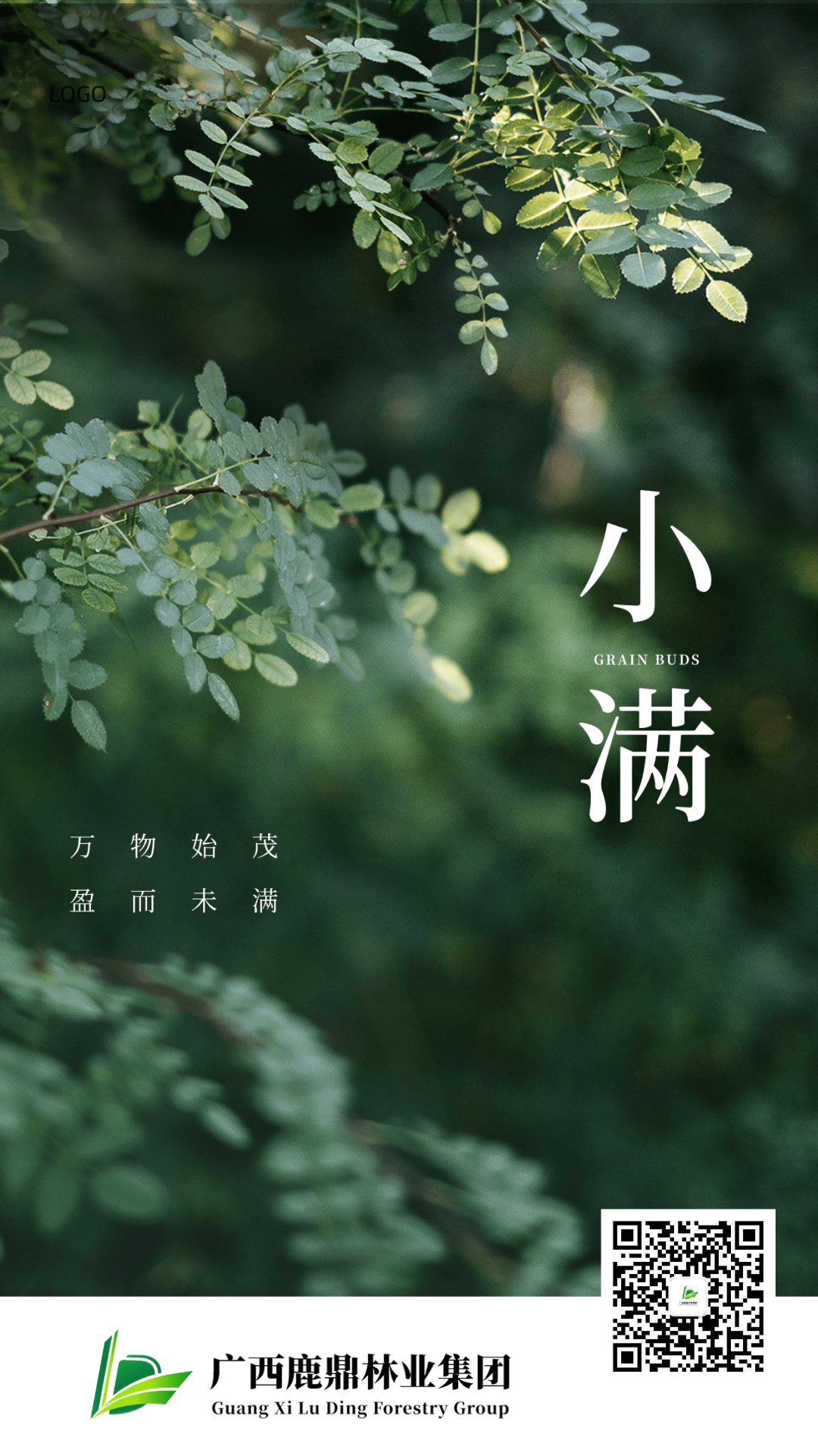0521小满.png