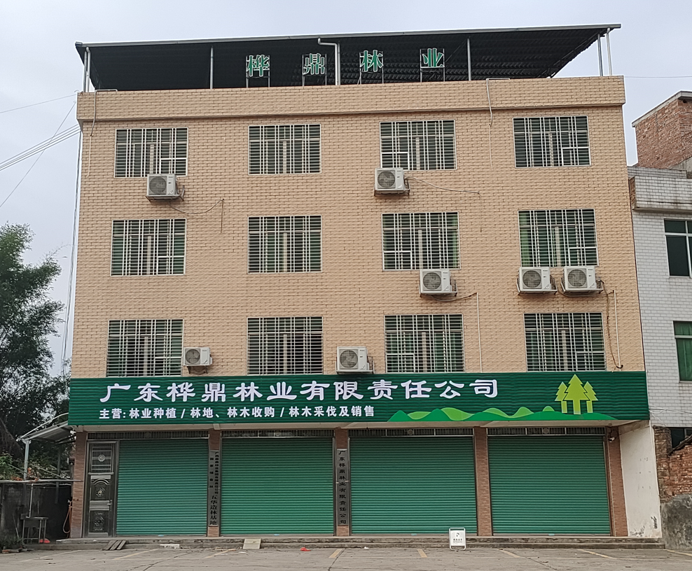 东升国际官网-相信品牌力量