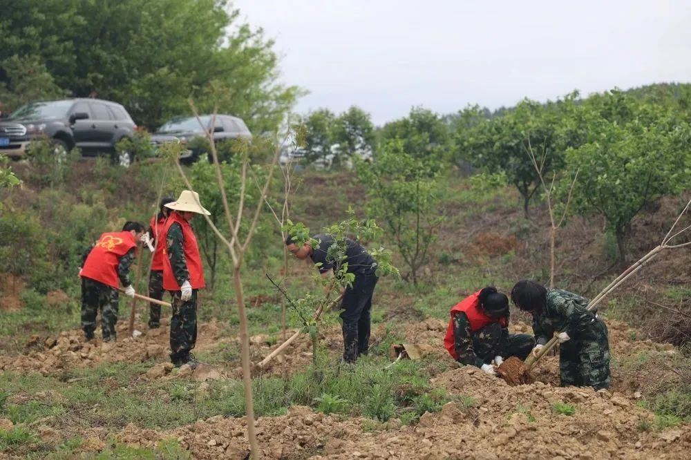 东升国际官网-相信品牌力量