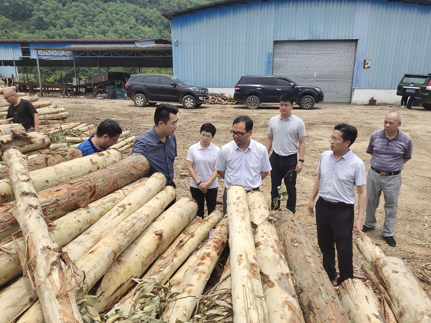 三门江林场场长韦宏一行到清远分公司调研指导工作