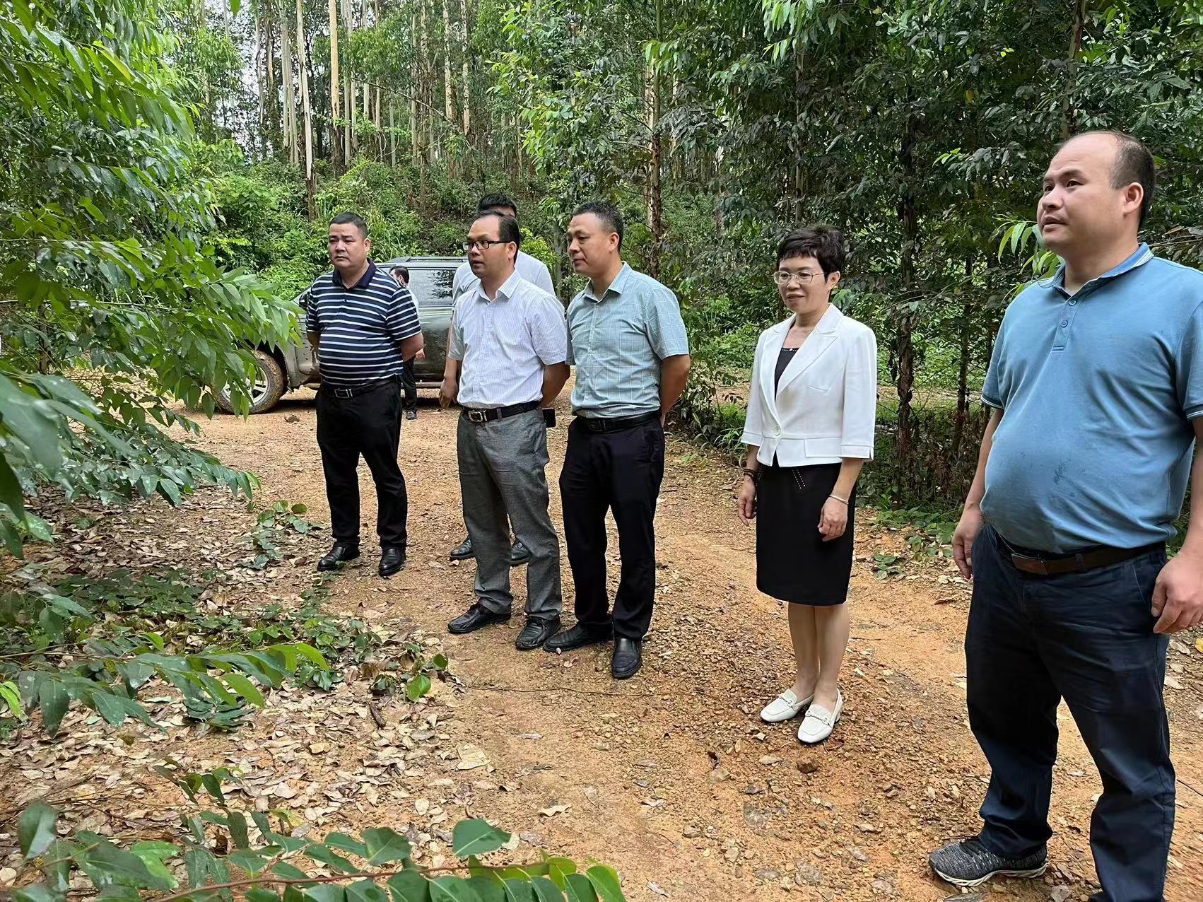 东升国际官网-相信品牌力量