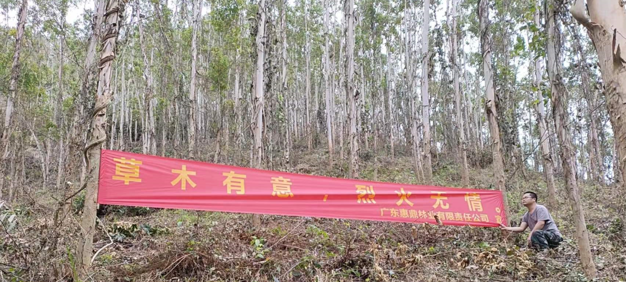 东升国际官网-相信品牌力量