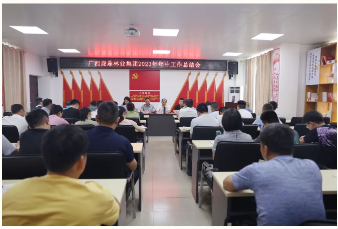 广西东升国际官网林业集团召开2023年年中工作总结会