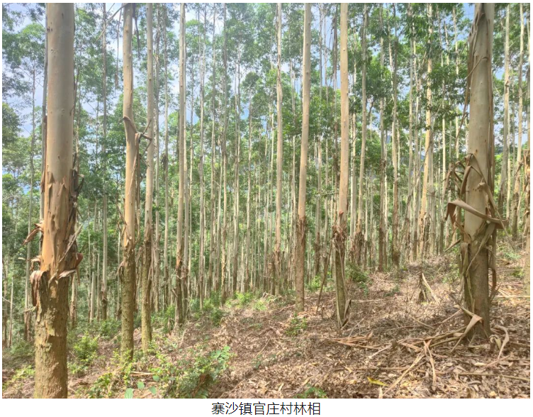 东升国际官网-相信品牌力量