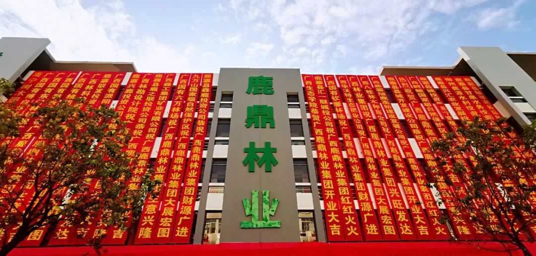 东升国际官网林业集团2024年新年贺词