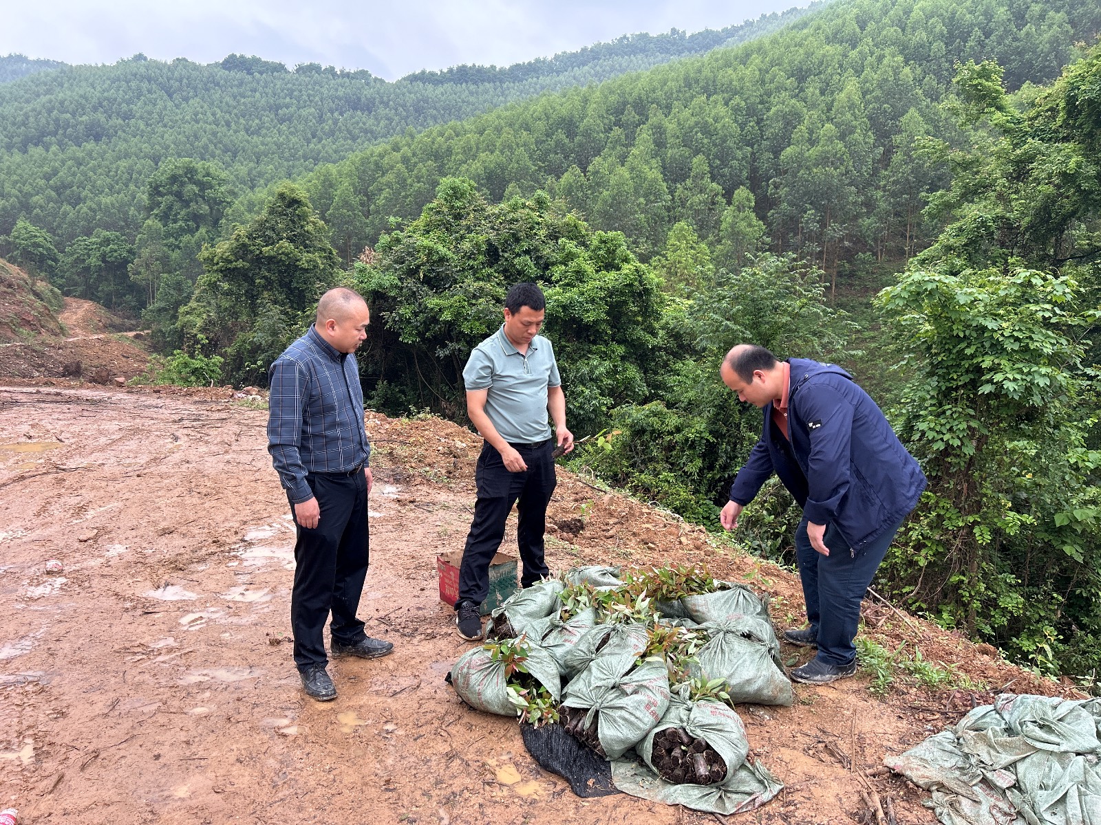 东升国际官网-相信品牌力量