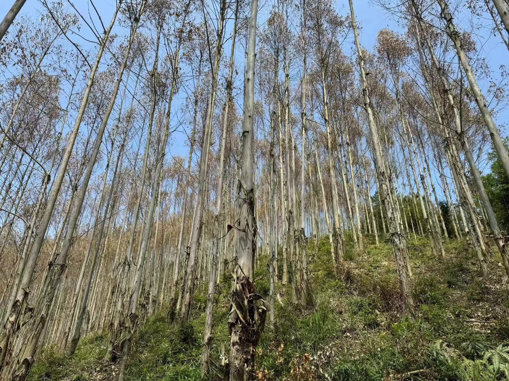 东升国际官网-相信品牌力量