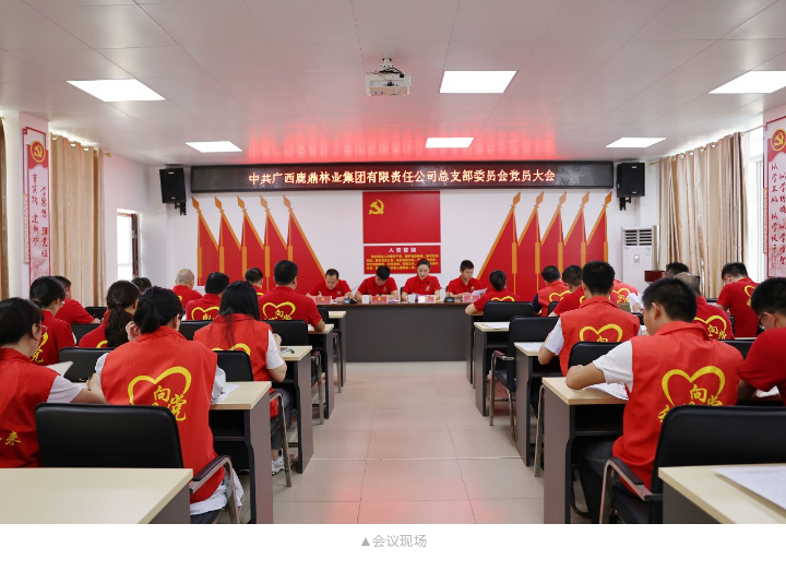 东升国际官网-相信品牌力量