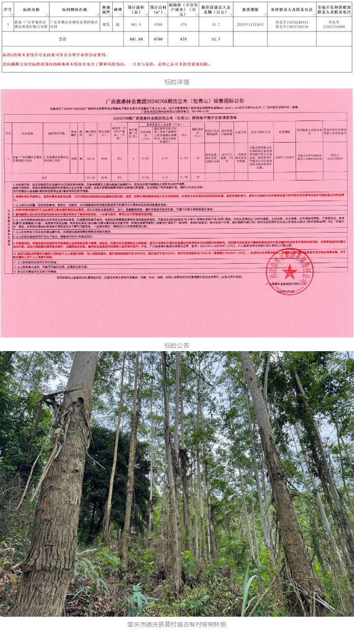 东升国际官网-相信品牌力量
