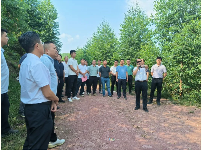 韦宏一行到大桂山林场考察学习
