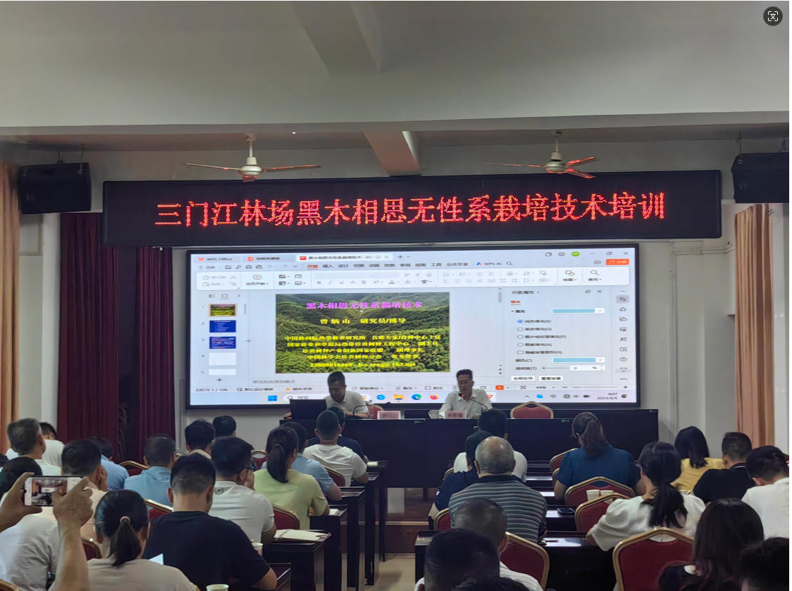 东升国际官网-相信品牌力量