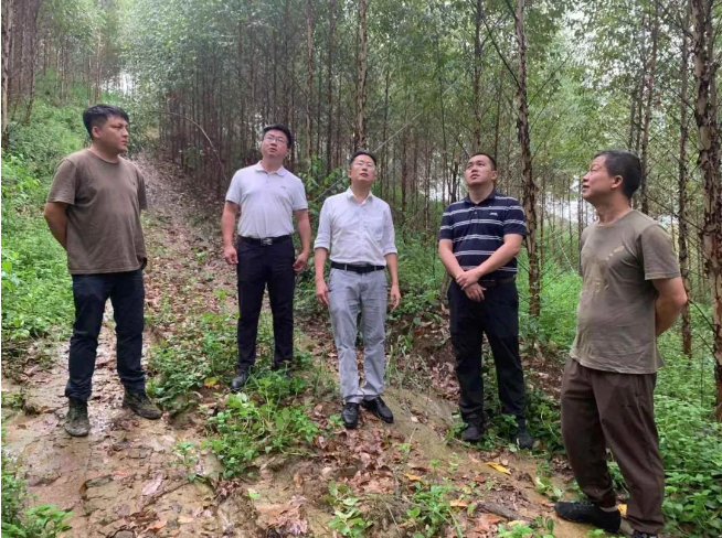 肖崇福到鹿晟公司检查指导工作