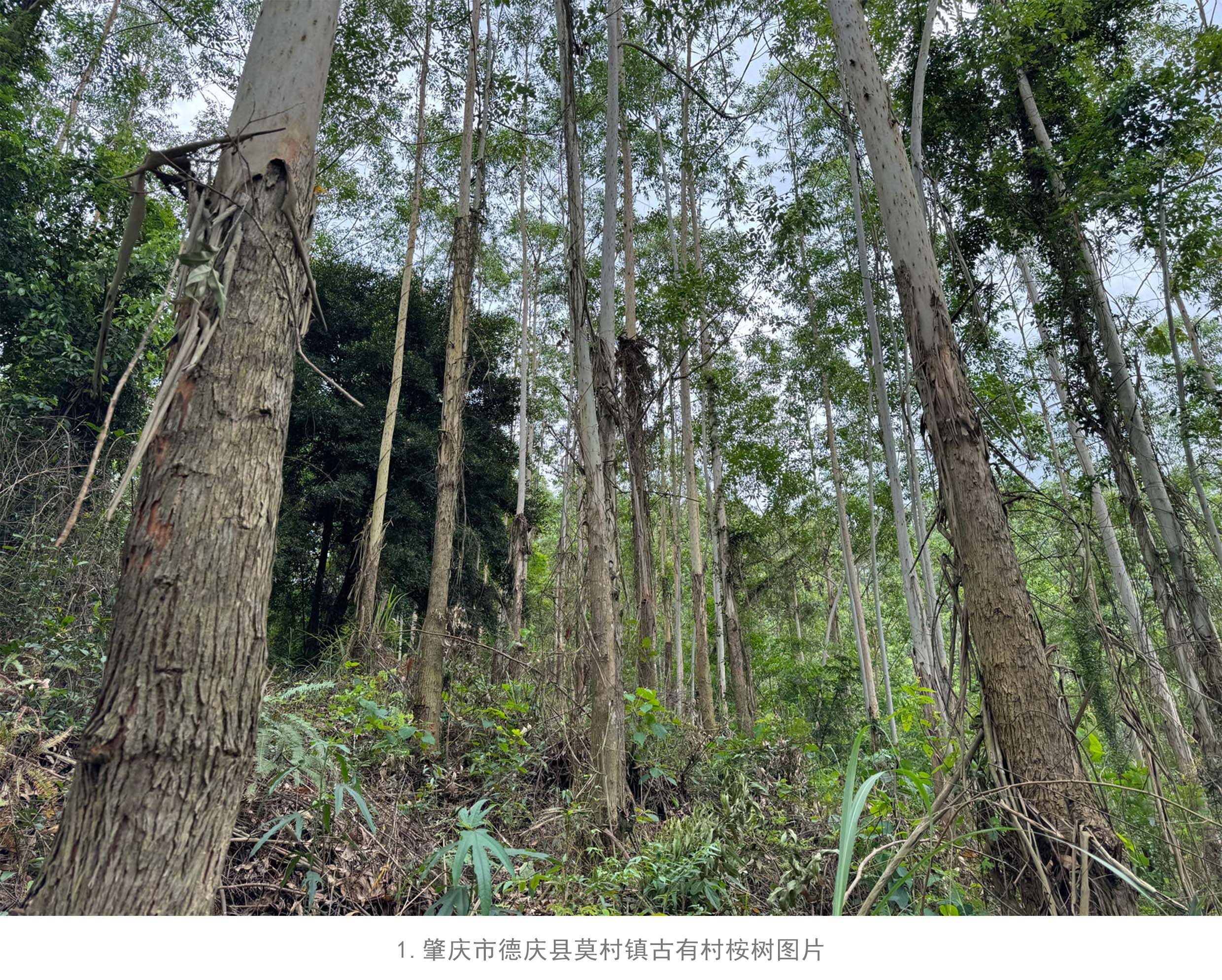 东升国际官网-相信品牌力量