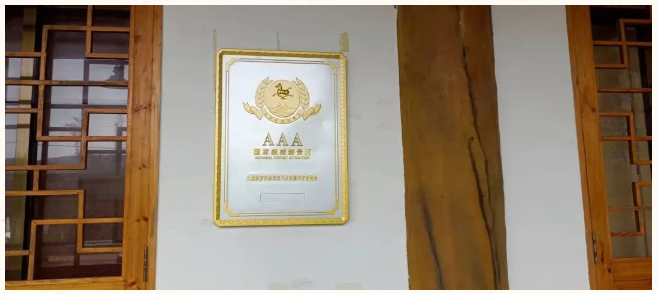 东升国际官网-相信品牌力量