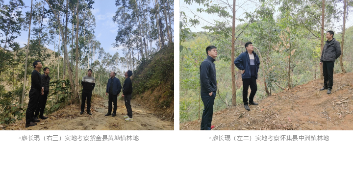 东升国际官网-相信品牌力量
