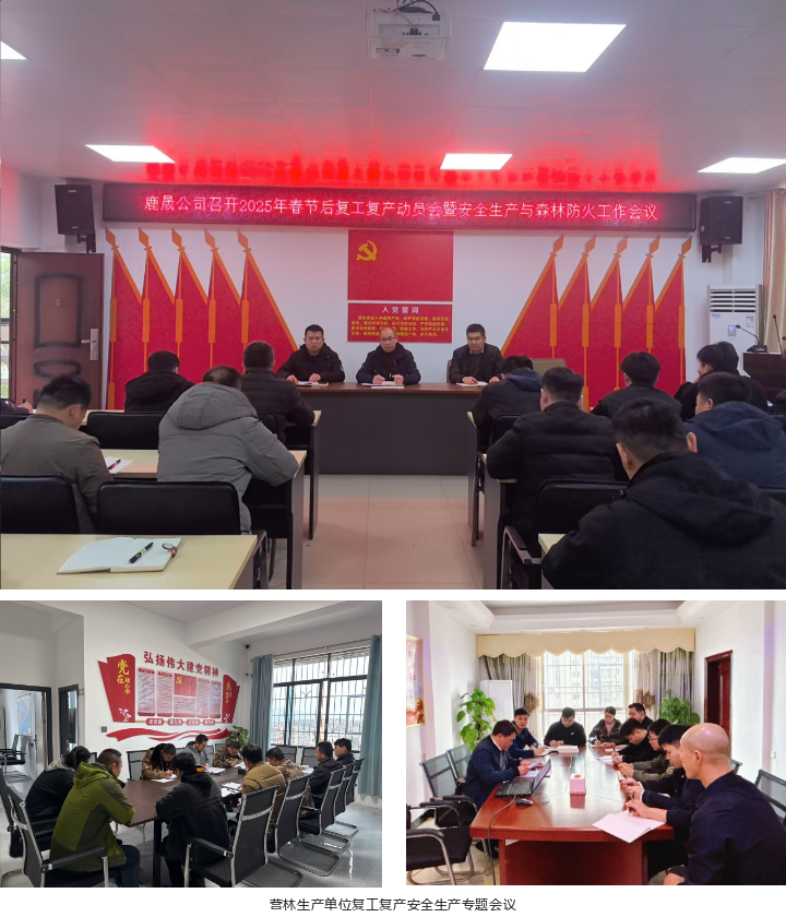 东升国际官网-相信品牌力量