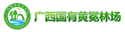 东升国际官网-相信品牌力量